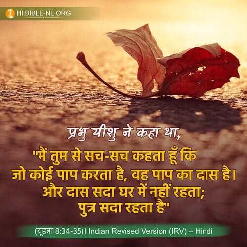 बाइबल वचन फोटो - यूहन्ना 8:34-35