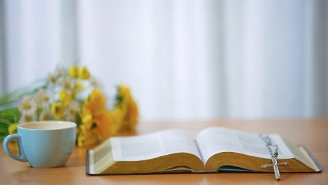 बाइबल की जानकारी: बाइबल क्यों परमेश्वर का प्रतिनिधित्व नहीं कर सकती