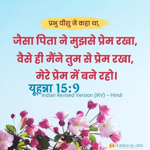 बाइबल वचन फोटो- यूहन्ना 15:9