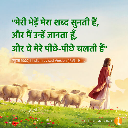 बाइबल वचन फोटो - यूहन्ना 10:27