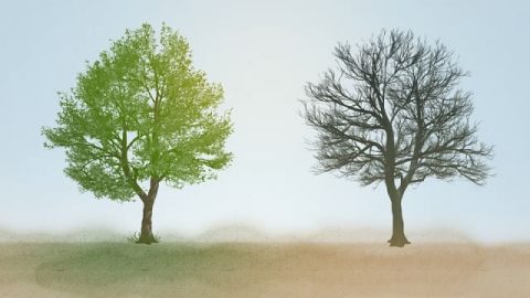 पवित्र आत्मा के और दुष्ट आत्माओं के कार्य के बीच विभेदन