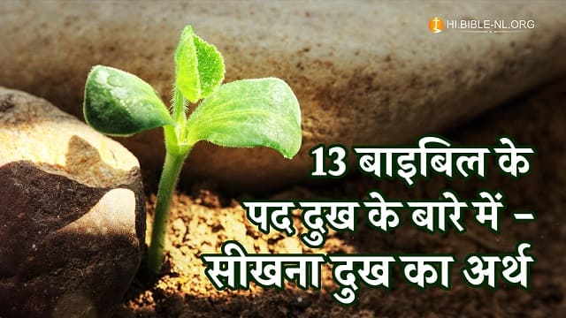दुखों के बारे में बाइबल क्या कहती है? दुखों का अर्थ जानें